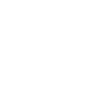 Goose Island Hazy IPA