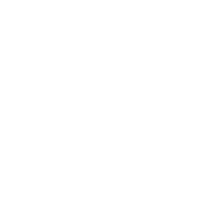 Budweiser