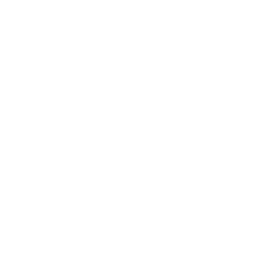 Wäls Petroleum